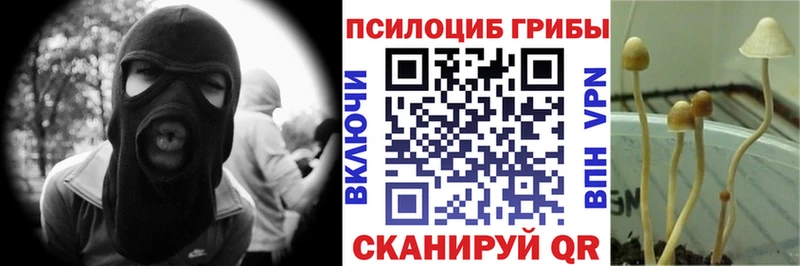 Псилоцибиновые грибы MAGIC MUSHROOMS  Купить закладки  Невельск 